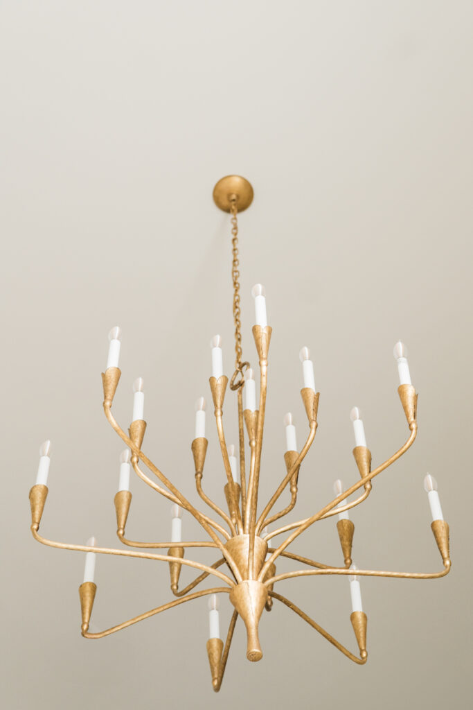 Winter Residence Candle Chandelier 